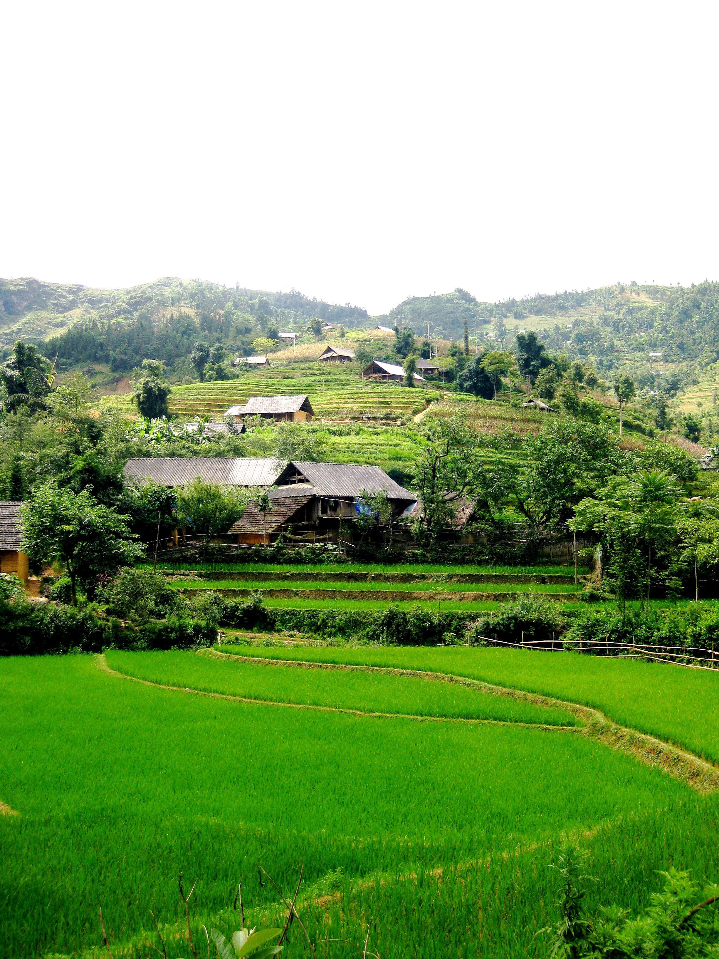 Hmong houses in Bac Ha